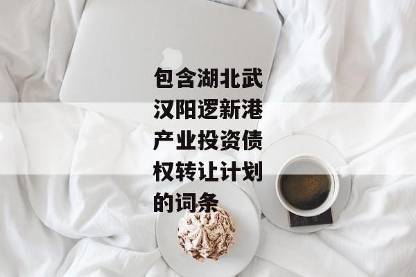 包含湖北武汉阳逻新港产业投资债权转让计划的词条