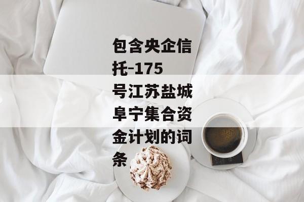 包含央企信托-175号江苏盐城阜宁集合资金计划的词条