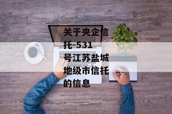 关于央企信托-531号江苏盐城地级市信托的信息