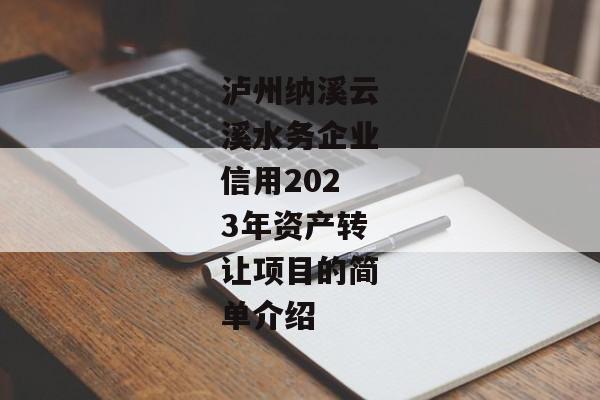 泸州纳溪云溪水务企业信用2023年资产转让项目的简单介绍-第1张图片-信托定融返点网