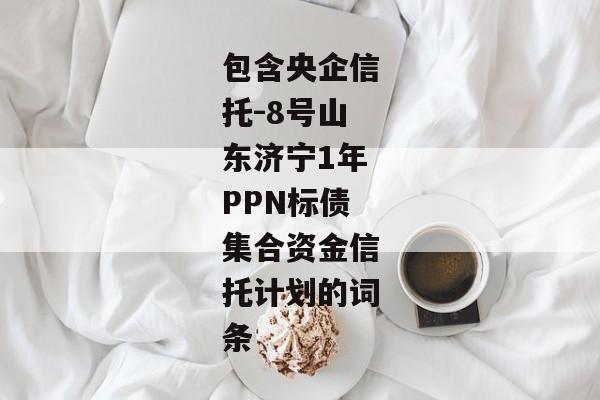 包含央企信托-8号山东济宁1年PPN标债集合资金信托计划的词条-第1张图片-信托定融返点网