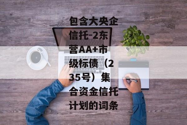 包含大央企信托-2东营AA+市级标债（235号）集合资金信托计划的词条-第1张图片-信托定融返点网