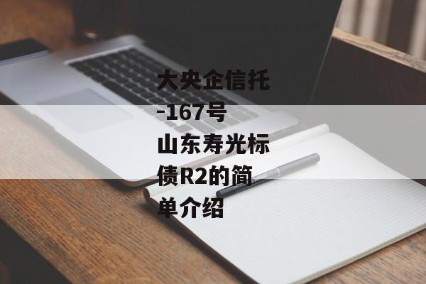 大央企信托-167号山东寿光标债R2的简单介绍-第1张图片-信托定融返点网