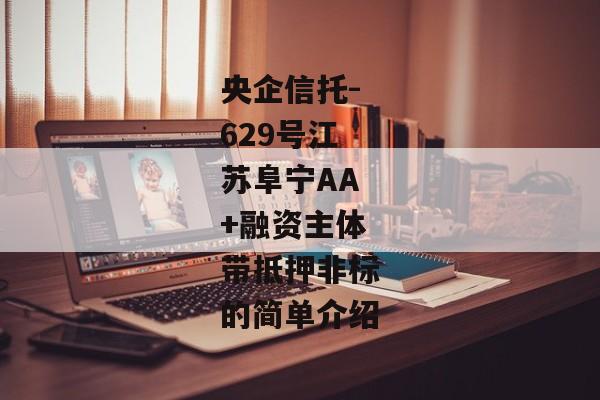 央企信托-629号江苏阜宁AA+融资主体带抵押非标的简单介绍