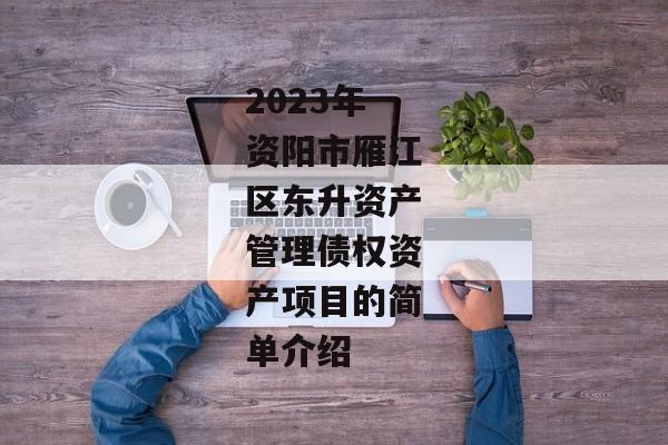 2023年资阳市雁江区东升资产管理债权资产项目的简单介绍