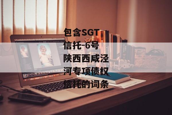 包含SGT信托-6号陕西西咸泾河专项债权信托的词条