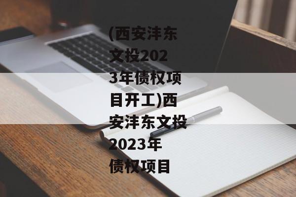 (西安沣东文投2023年债权项目开工)西安沣东文投2023年债权项目-第1张图片-信托定融返点网