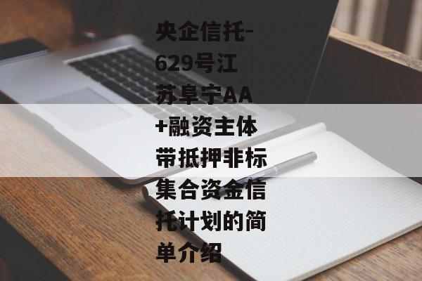 央企信托-629号江苏阜宁AA+融资主体带抵押非标集合资金信托计划的简单介绍-第1张图片-信托定融返点网