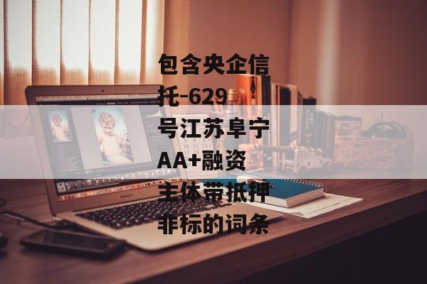 包含央企信托-629号江苏阜宁AA+融资主体带抵押非标的词条-第1张图片-信托定融返点网