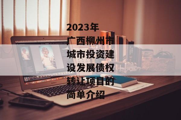 2023年广西柳州市城市投资建设发展债权转让项目的简单介绍