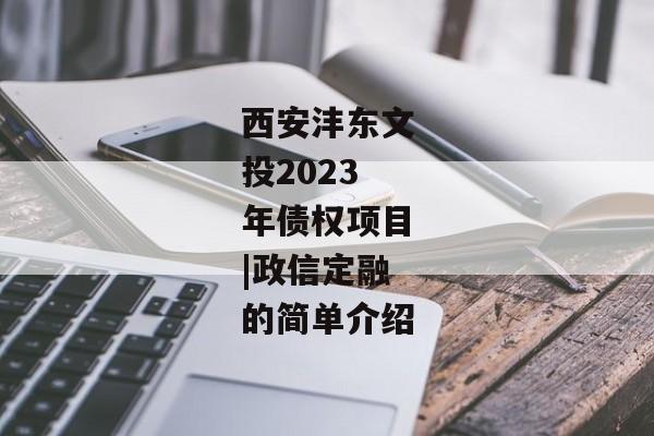 西安沣东文投2023年债权项目|政信定融的简单介绍