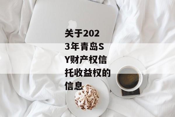 关于2023年青岛SY财产权信托收益权的信息