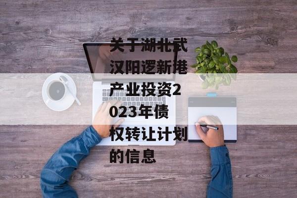 关于湖北武汉阳逻新港产业投资2023年债权转让计划的信息