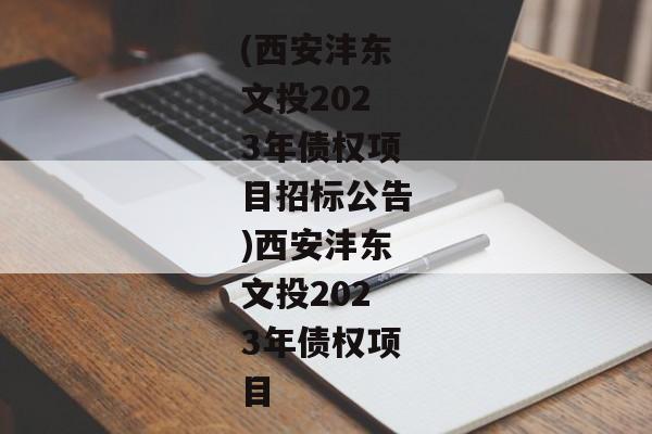 (西安沣东文投2023年债权项目招标公告)西安沣东文投2023年债权项目