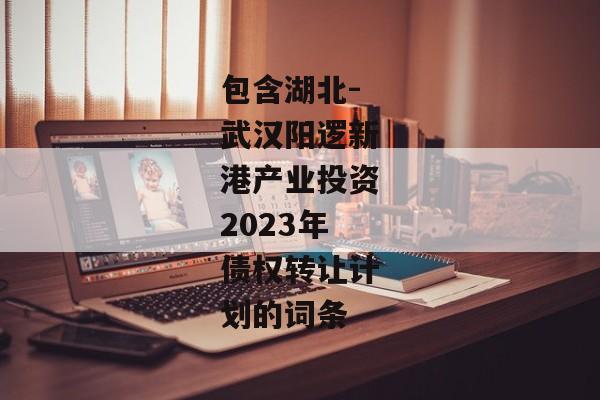 包含湖北-武汉阳逻新港产业投资2023年债权转让计划的词条