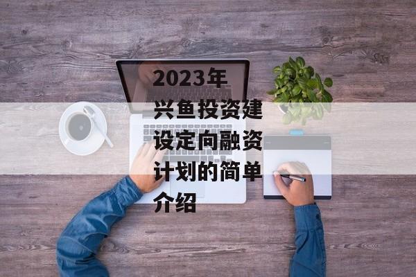 2023年兴鱼投资建设定向融资计划的简单介绍-第1张图片-信托定融返点网