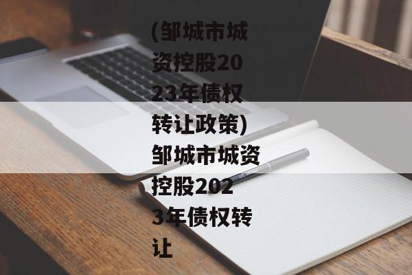 (邹城市城资控股2023年债权转让政策)邹城市城资控股2023年债权转让-第1张图片-信托定融返点网