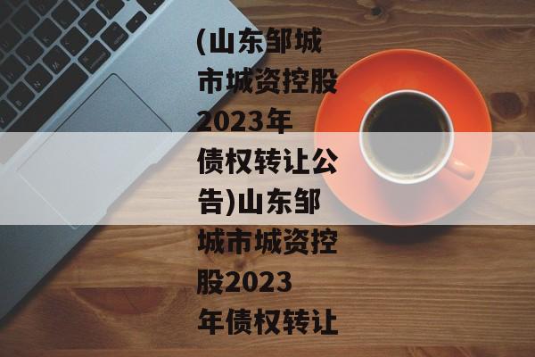 (山东邹城市城资控股2023年债权转让公告)山东邹城市城资控股2023年债权转让