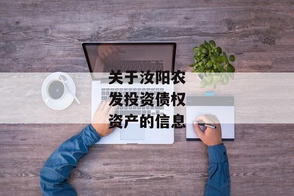 关于汝阳农发投资债权资产的信息