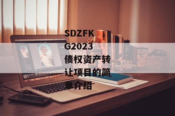 SDZFKG2023债权资产转让项目的简单介绍