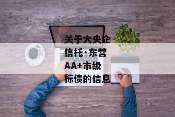 关于大央企信托·东营AA+市级标债的信息