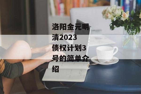 洛阳金元明清2023债权计划3号的简单介绍