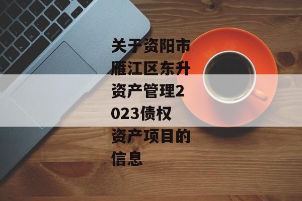 关于资阳市雁江区东升资产管理2023债权资产项目的信息-第1张图片-信托定融返点网