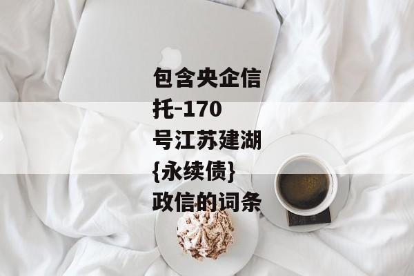 包含央企信托-170号江苏建湖{永续债}政信的词条