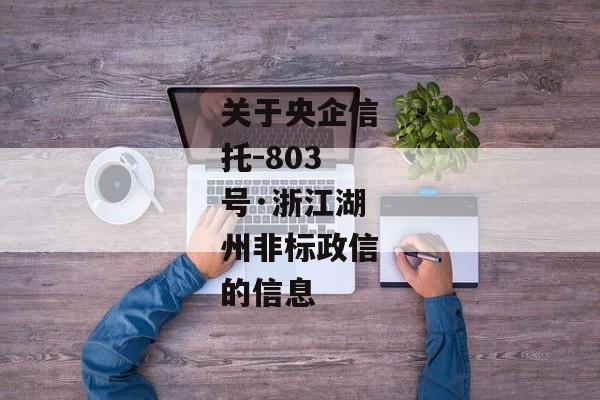 关于央企信托-803号·浙江湖州非标政信的信息-第1张图片-信托定融返点网