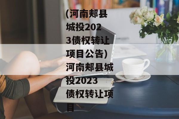 (河南郏县城投2023债权转让项目公告)河南郏县城投2023债权转让项目-第1张图片-信托定融返点网