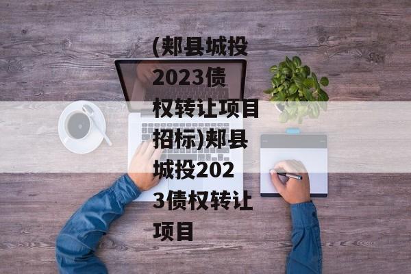 (郏县城投2023债权转让项目招标)郏县城投2023债权转让项目