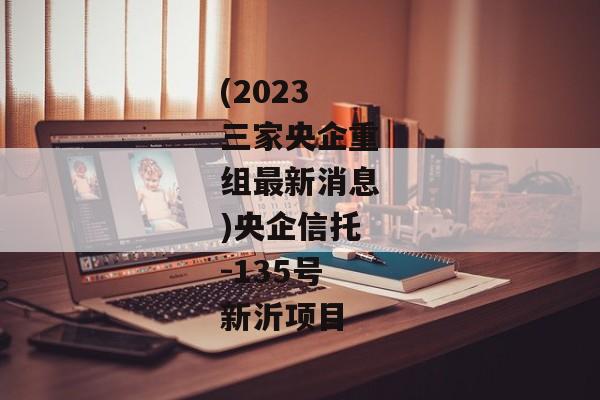 (2023三家央企重组最新消息)央企信托-135号新沂项目-第1张图片-信托定融返点网