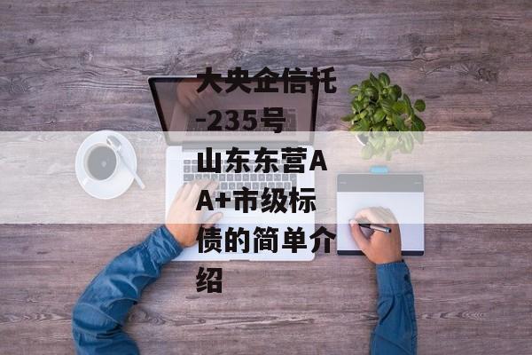 大央企信托-235号山东东营AA+市级标债的简单介绍