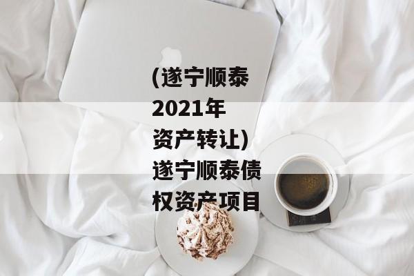 (遂宁顺泰2021年资产转让)遂宁顺泰债权资产项目