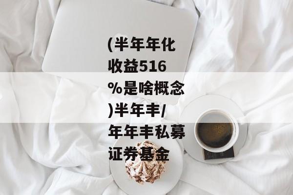 (半年年化收益516%是啥概念)半年丰/年年丰私募证券基金