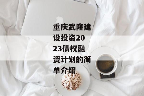 重庆武隆建设投资2023债权融资计划的简单介绍-第1张图片-信托定融返点网