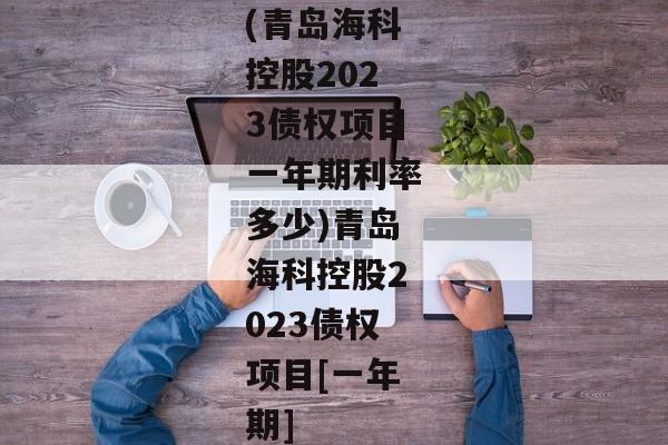 (青岛海科控股2023债权项目一年期利率多少)青岛海科控股2023债权项目[一年期]-第1张图片-信托定融返点网