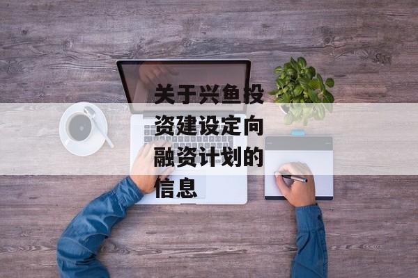 关于兴鱼投资建设定向融资计划的信息-第1张图片-信托定融返点网