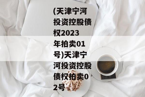 (天津宁河投资控股债权2023年拍卖01号)天津宁河投资控股债权拍卖02号