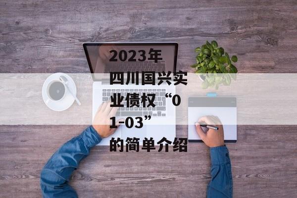 2023年四川国兴实业债权“01-03”的简单介绍-第1张图片-信托定融返点网