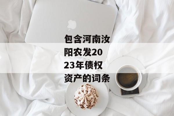 包含河南汝阳农发2023年债权资产的词条