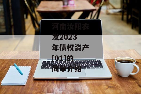 河南汝阳农发2023年债权资产[01]的简单介绍