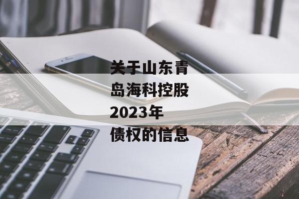 关于山东青岛海科控股2023年债权的信息-第1张图片-信托定融返点网