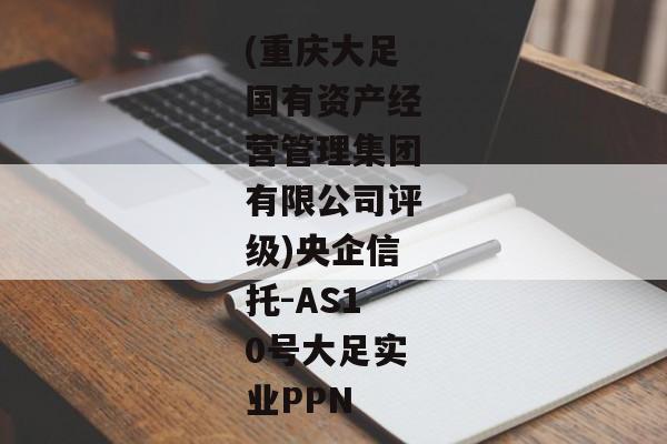 (重庆大足国有资产经营管理集团有限公司评级)央企信托-AS10号大足实业PPN-第1张图片-信托定融返点网