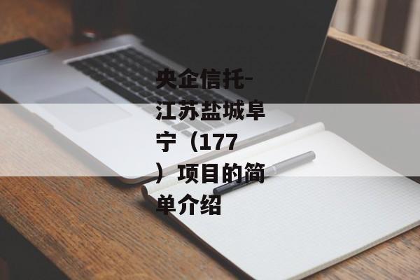 央企信托-江苏盐城阜宁（177）项目的简单介绍-第1张图片-信托定融返点网