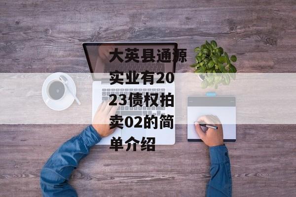 大英县通源实业有2023债权拍卖02的简单介绍-第1张图片-信托定融返点网