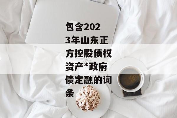 包含2023年山东正方控股债权资产*政府债定融的词条-第1张图片-信托定融返点网