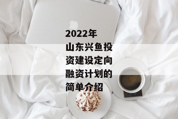 2022年山东兴鱼投资建设定向融资计划的简单介绍-第1张图片-信托定融返点网