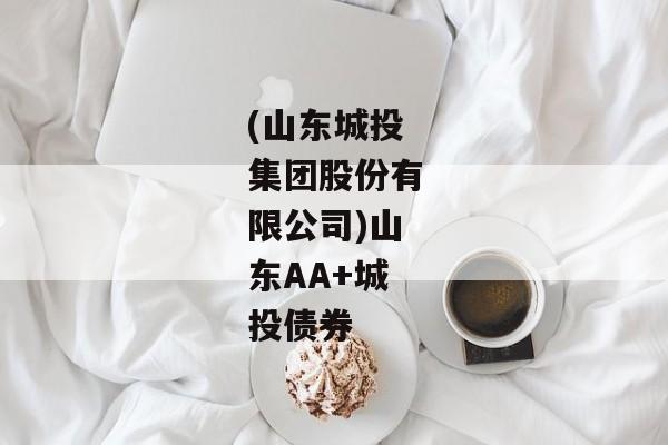 (山东城投集团股份有限公司)山东AA+城投债券