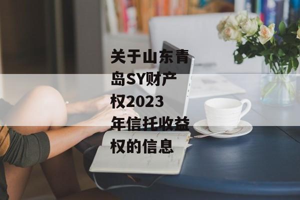 关于山东青岛SY财产权2023年信托收益权的信息